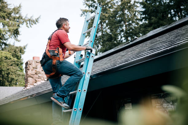 Best Skylight Installation and Repair  in Lake Ssota, WI